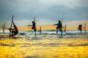 Sri Lanka holidays