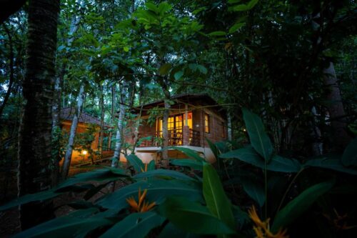 Where to stay in Wayanad
