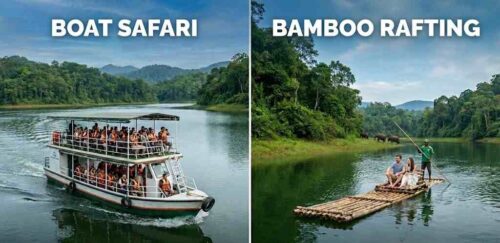 Boat Safari Vs Bamboo Rafting