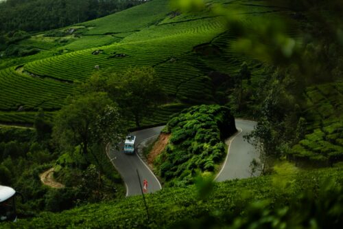 Wayanad Travel Guide