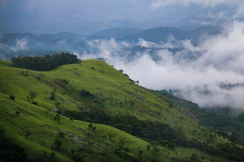 Best time to visit Wayanad