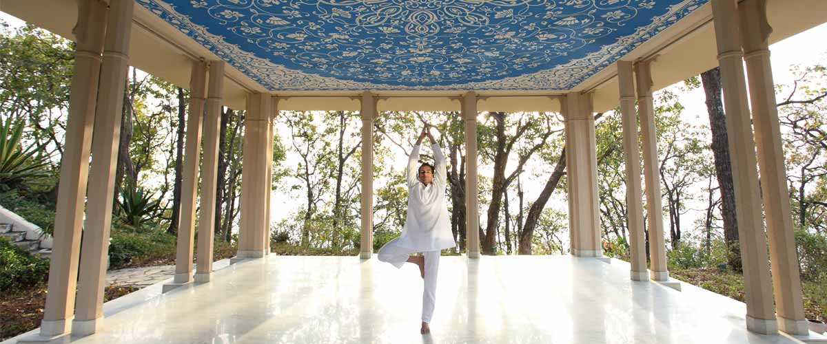 Ananda in the Himalayas