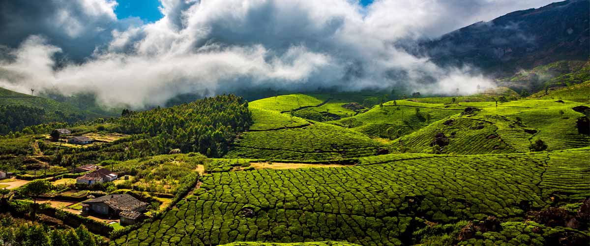 Kerala Holidays