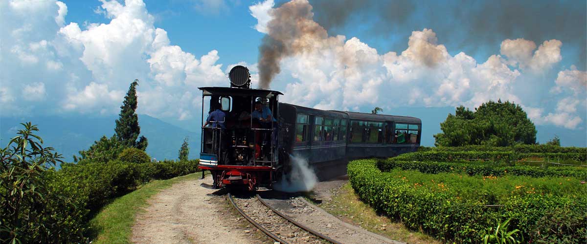 Darjeeling Toy Train