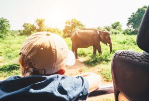 Leopard safari Sri Lanka family holiday