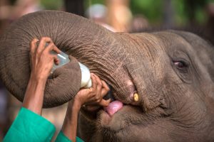 Kids Friendly activities Srilanka